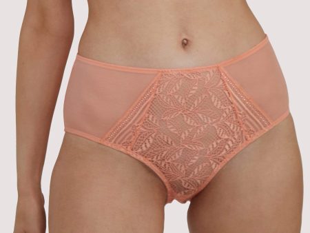 Emma Coral High Waist Brief Sale