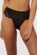 Saretta Black Stripe Mesh and Lace High Waist Thong Fashion