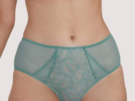 Emma Moss High Waist Lace Brief Online Hot Sale