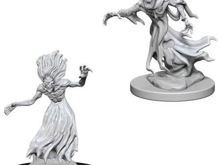 D&D Nolzurs Marvelous Unpainted Miniatures: Wraith and Specter Fashion