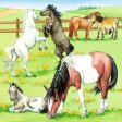 3x49pc A Day at the Stables Puzzle Online Sale